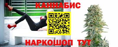 прущие крисы Будённовск