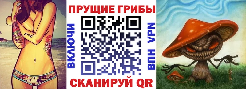 МЕГА онион Добрянка Галлюциногенные грибы мицелий