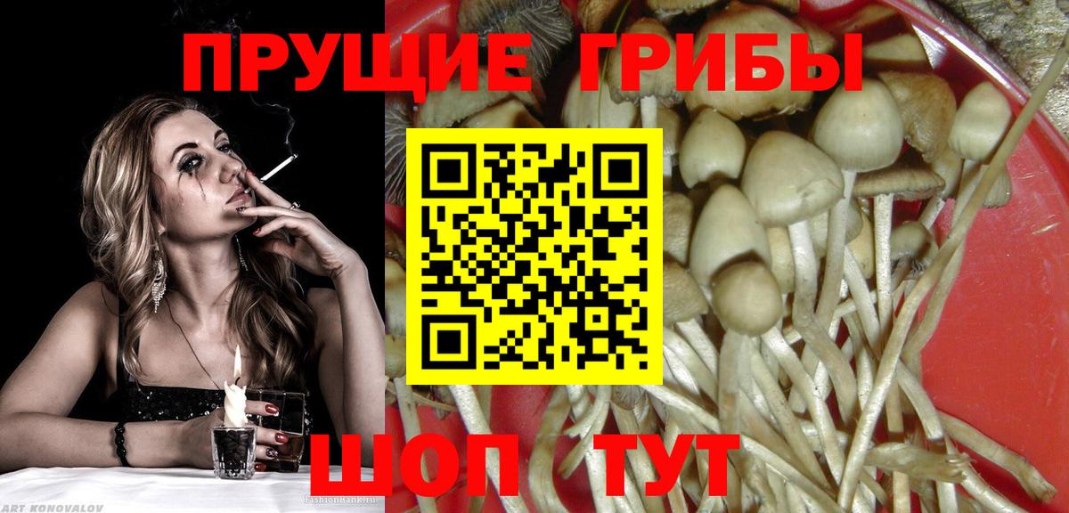 Добрянка  Галлюциногенные грибы Cubensis  Галлюциногенные грибы мицелий  Вход с VPN 